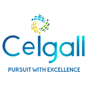 Ceigall India Ltd Ipo