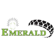 Emerald Tyre Manufacturers Ltd Ipo