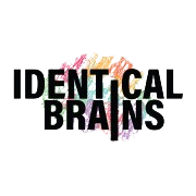 Identical Brains Studios Ltd Ipo