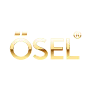 OSEL Devices Ltd Ipo