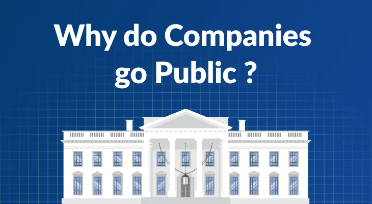 What Does It Take For A Company To Go Public